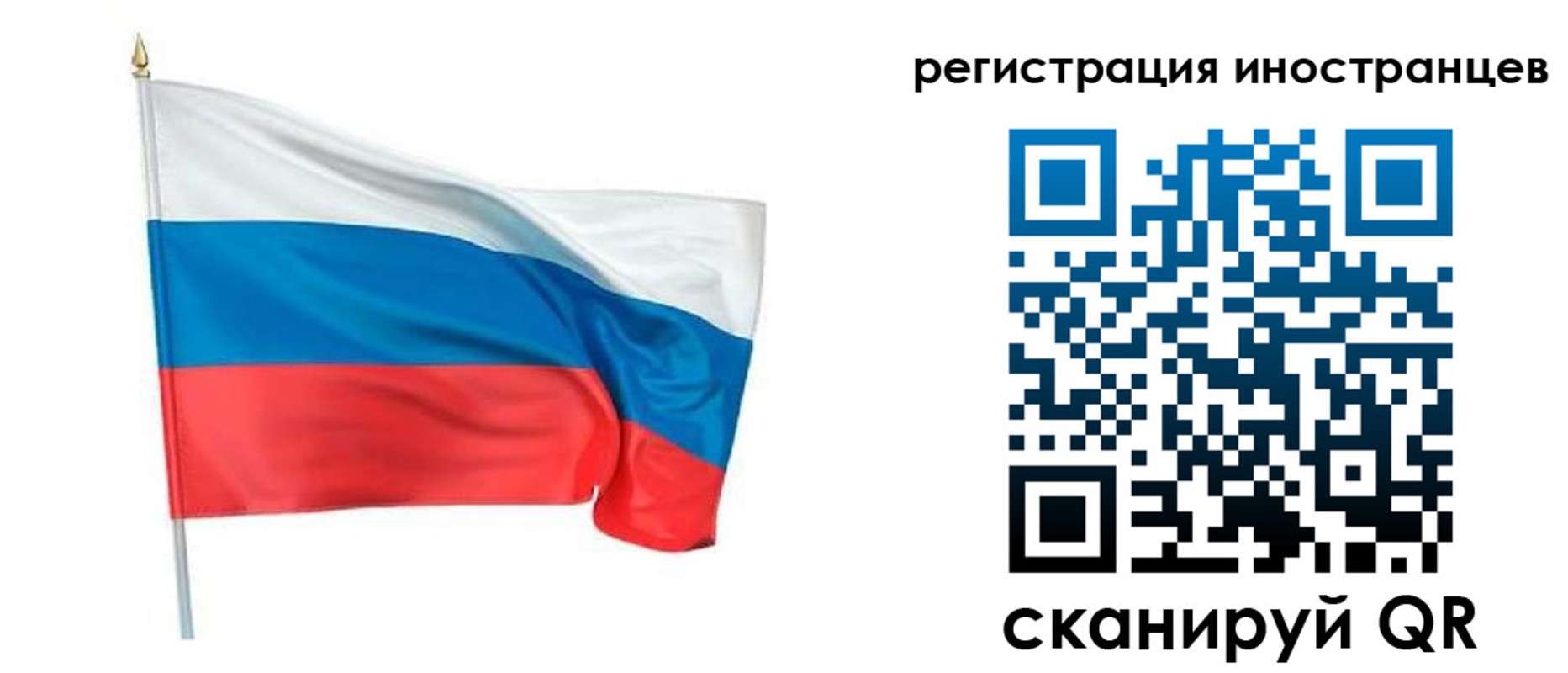 прописка 2025 в Павловском Посаде